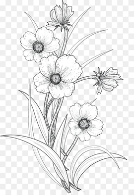 white flowers illustration, Drawing Flower Line art, Line drawing flowers, flower Arranging, monochrome, plant Stem png thumbnail