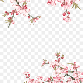 Flower Art Watercolor, Cherry Blossom, Poster, Watercolor Painting, Spring , Pink, Branch, Flora, Cherry Blossom, Poster, Watercolor Painting png thumbnail