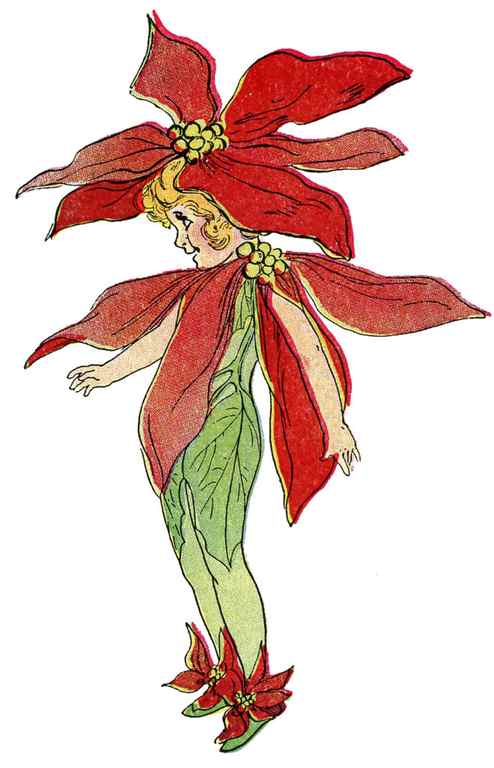 poinsettia flower fairy image