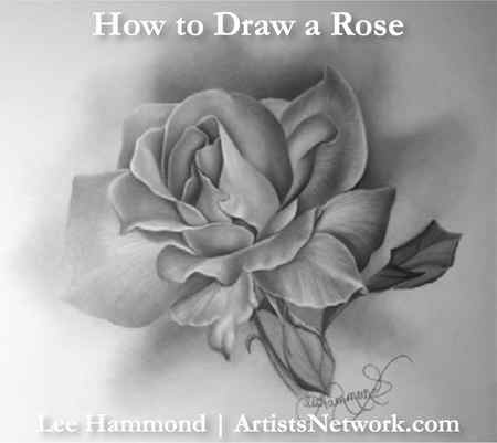 How to draw a rose | Lee Hammond, ArtistsNetwork.com