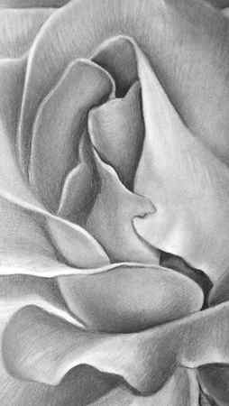 How to draw a rose | Lee Hammond, ArtistsNetwork.com