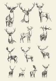 28759 Reindeer Sketch Images Stock Photos Vectors Shutterstock