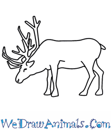 37154 Cartoon Reindeer Drawing Images Stock Photos Vectors Shutterstock