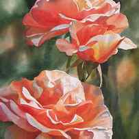 Salmon Colored Roses by Sharon Freeman