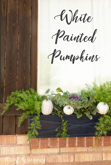 white pumpkins in window boxes