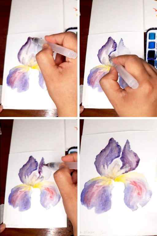10 Watercolor Steps Painting Iris