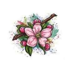 Pink flower on white background, cherry blossom Art Print by Nadia CHEVREL