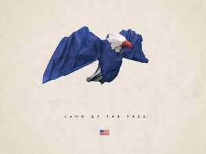 Land of the Free 3d 4d america c4d cinema eagle illustration low poly memorial day patriot usa