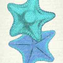 Starfish In Shades Of Blue B by Fab Funky