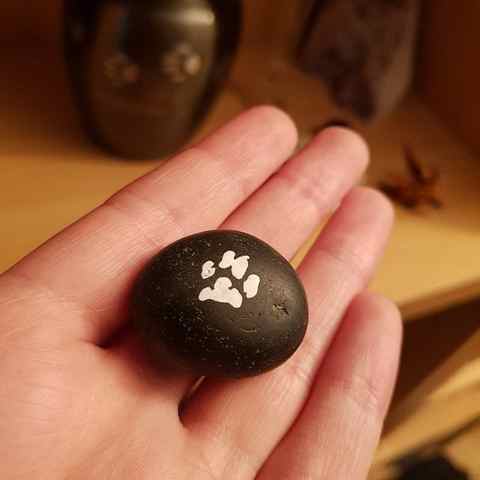 black and white painted rocks that look like cat claws