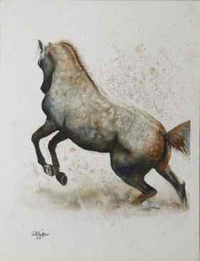 Dappled Gray Horse in Watercolor 9x12 thumb