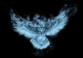 blue owl digital wallpaper, look, wings, black background, illuminated HD wallpaper