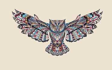 gray and multicolored owl painting, bird, wings, light background HD wallpaper