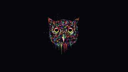 Colorful owl, creative design, black background, red green and purple owl illustration HD wallpaper