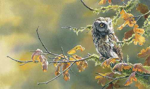 Wall Art - Painting - Autumn Oak by Wild Wings