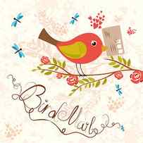 Bird-mail Postcrossing Cheerful Cute by Lesyaskripak
