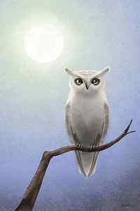 Wall Art - Digital Art - White Owl by April Moen