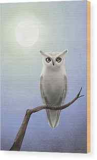 Tree Owl Wood Prints