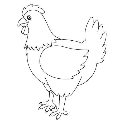 Drawing Rooster Hen Sketch Adult Male Stock Illustration 1633102477 Shutterstock