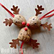 Walnut Reindeer Craft