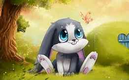 Cute bunny, bunny, cute, nature, love HD wallpaper