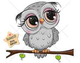 Cute Owl PNG Digital Clipart Adorable Graphics. Etsy in 2021. Cute owl cartoon, Cute owls , Cute drawings HD wallpaper