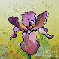 Iris II by Shadia Derbyshire