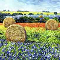 Hay bales and Wildflowers by Hailey E Herrera
