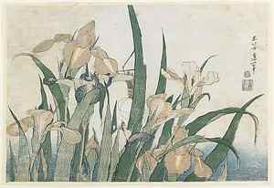 Iris Flowers and Grasshopper, c.1830-31 (colour woodblock print)