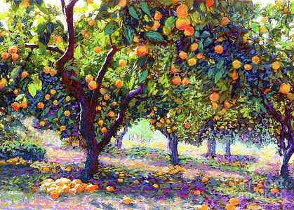 Wall Art - Painting - Orange Grove of Citrus Fruit Trees by Jane Small