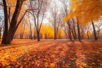 Beautiful fall landscape at recreational park with orange and yellow trees during september october november generative ai