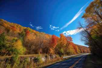 Scenic highway in the autumn with colorful leaves and clear blue sky created with generative ai Stock Photo