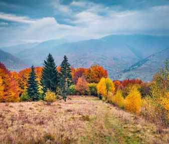 Colorful autumn scene of mountain valley amazing morning view of carpathian mountains kvasy village location ukraine europe beauty of nature concept background