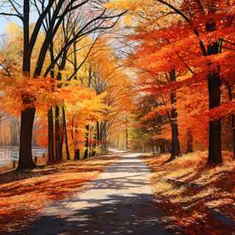 Beautiful autumn landscape with road and trees in the park illustration