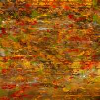 Autumn Foliage Abstract by Lourry Legarde