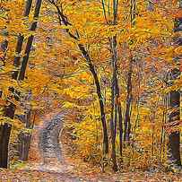 Vermont, Landscape - 12 by AM FineArtPrints