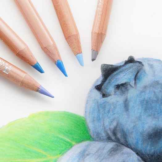 Blueberries art tutorial using Caran d