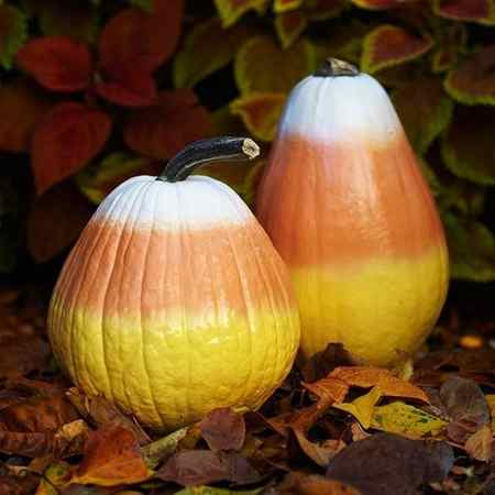 40 Cute and Easy Pumpkin Painting Ideas 34
