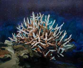 One of Laura Jones’ coral artworks