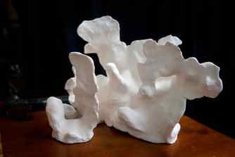 A bleached coral sculpture by Laura Jones