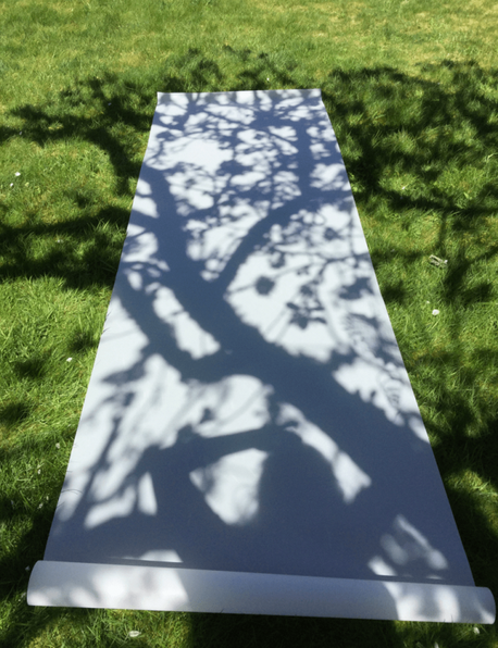 Shadow art with nature - white paper stretched out on grass with shadow of the tree above casting on the paper
