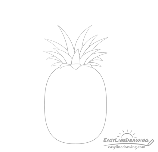 Pineapple crown middle drawing