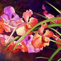 Blushing Beauties by Laurie Snow Hein