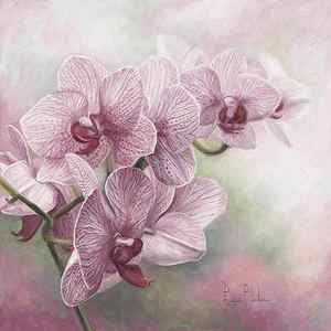 Wall Art - Painting - Graceful Orchids by Lucie Bilodeau