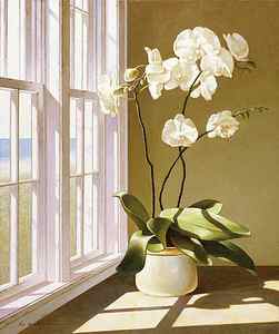 Wall Art - Painting - Pot Of Orchids by Zhen-huan Lu