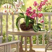 Victorian Orchids. by Laurie Snow Hein