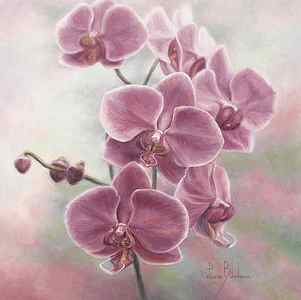 Wall Art - Painting - Elegant Orchids by Lucie Bilodeau