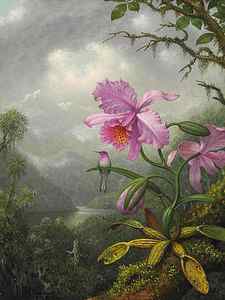 Wall Art - Painting - Hummingbird Perched on the Orchid Plant by Martin Johnson Heade
