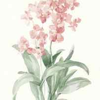 Spring Orchid I by Danhui Nai