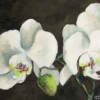 My Orchid by Torrie Smiley